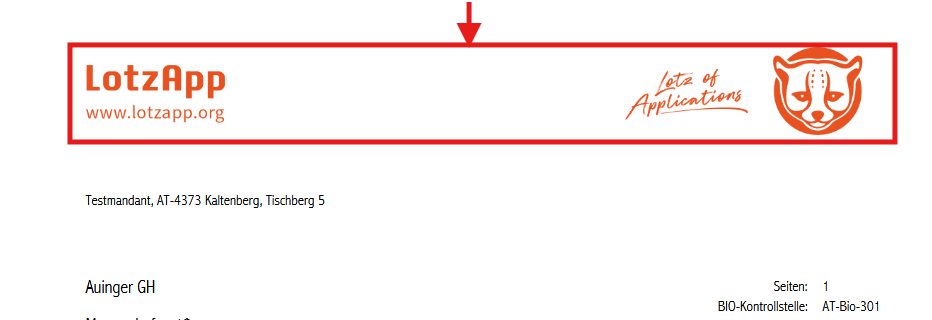grafik.png